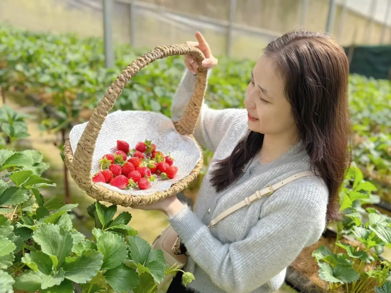 Vi vu cùng mùa thu ĐÀ LẠT 